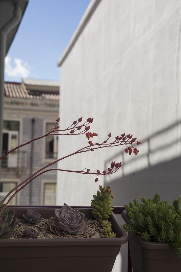 Lisbon Poets Inn Zewnętrze zdjęcie